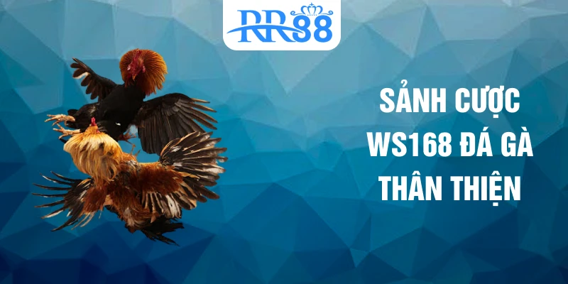 Sảnh cược WS168 đá gà thân thiện
